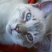 Malone Johnson - Facebook