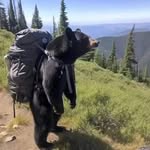 Malone Johnson - @johnsonmalone - Instagram