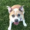Malone Johnson - @malone.johnson - TikTok