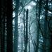 Malone Smith - Facebook