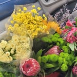 Malorie Gibson - @vert_botanical - Instagram