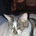 Malory Taylor - Facebook