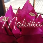 Malvika Sinha - @malvika006 - Instagram