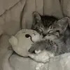 Malvika Sinha - @cute.as.ducks050 - TikTok