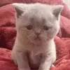 😻Malvina&Watson😻 - @watson.malvina - TikTok