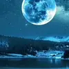 Malvina Marku169 - @malvinamarku1690 - TikTok