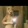 Maly López. - @maly.lpez7 - TikTok