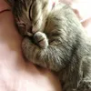 mamiebbates97407 - @mamiebbates97407 - TikTok