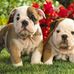 Mamie Cantrell - Facebook