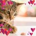Mamie Cook - Facebook