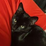 mamie_danielle - @mamie_danielle02 - Instagram