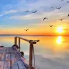 Mamie Davis - @mamie.davis75 - TikTok
