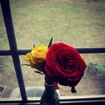 Mamie Jacobs - @kimeshuan673 - Instagram