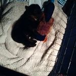 Mamie Wesley Jacobs - @jacobsmamie - Instagram