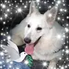 mamie rose - @mamie.rose0 - TikTok