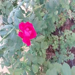 man boy - @manboy4465 - Instagram