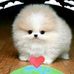 Man Chan - Facebook