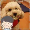 Man Chan - @30309739745 - TikTok