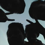 _nrjman_apek - @manmok_ - Instagram