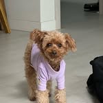 翰成 - @mansung__ - Instagram