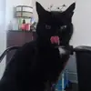 manxie831@claire - @manxie831 - TikTok