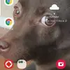 manxie - @manxie089 - TikTok