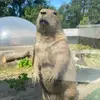 Manxie - @manxie48 - TikTok