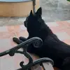 Manxie - @manxie_ - TikTok
