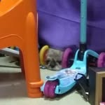Man Yip - @manyip____ - Instagram
