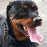 Man Yip Hui - @manyiphui - Instagram