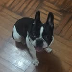 Man Yip Yip - @manman__yip - Instagram