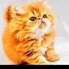 Mana Mohamed - @mana.mohamed93 - TikTok