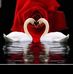 Manal Deeb - Facebook