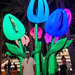 Manal Deeb - @deeb8988 - Instagram