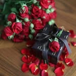 manal - @manal_deeb - Instagram