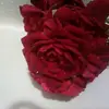 manaldeeb123 - @manaldeeb123 - TikTok