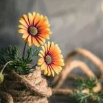 Manal Hammad - @manal.hammad.9469 - Instagram