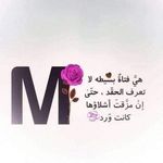 Manal Hammad - @manalhammad60 - Instagram