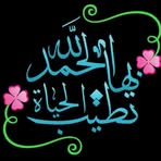 Manal Odeh - Facebook