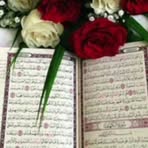 Manal Salem - Facebook