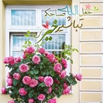Manal.salem - @manal.salem7503 - Instagram