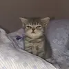 اللهم اهدني و يسر لي الهدى🤲 - @manar_abdalla - TikTok