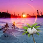 Manas Ghorai - Facebook
