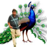 chandu rock star raja 143 - @mandachandu440 - Instagram