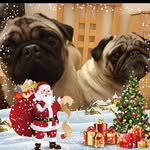 Manda Murray - @ajmurray7 - Instagram