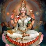 Manda Patel - @mandapatel44 - Instagram
