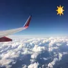 Amanda Phillips - @amandaphillips20182 - TikTok