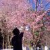 Manda Thomas - Facebook
