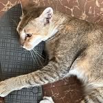 mandayangmanasih - @ndulers2 - Instagram
