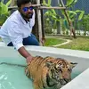 Mandar Naik - @mandarnaik31 - TikTok